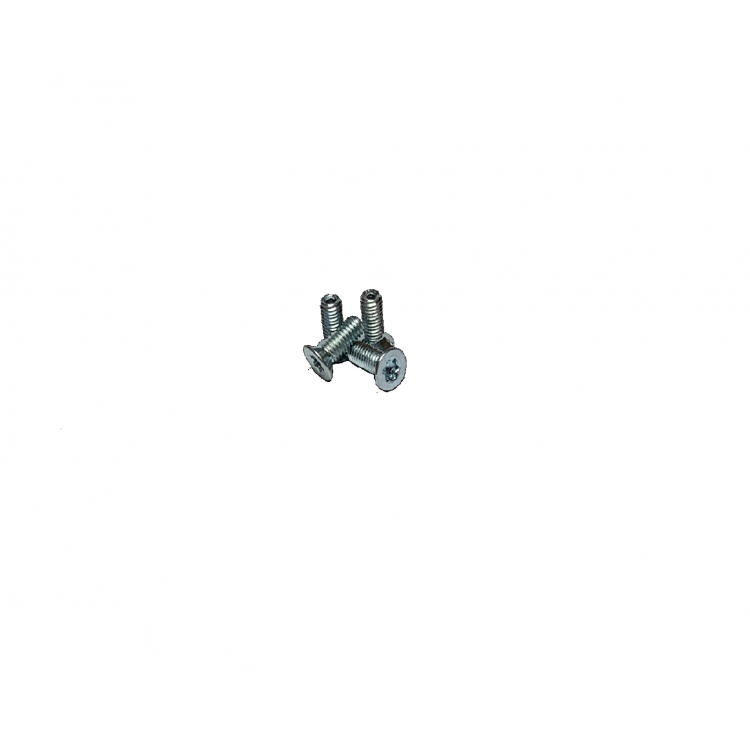 Screws for ski crampons slots